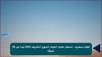قفزة سعرية.. أسعار حلاوة المولد النبوي الشريف 2025 تبدأ من 98 جنيهًا